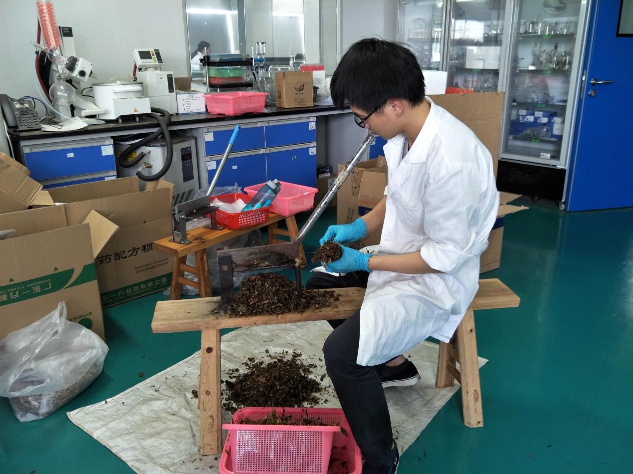 太阳网集团tcy8722暑期“扬化工风采展青年风姿”三下乡主题活动顺利进行