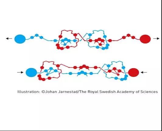 分子机器的设计和合成