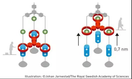分子机器的设计和合成